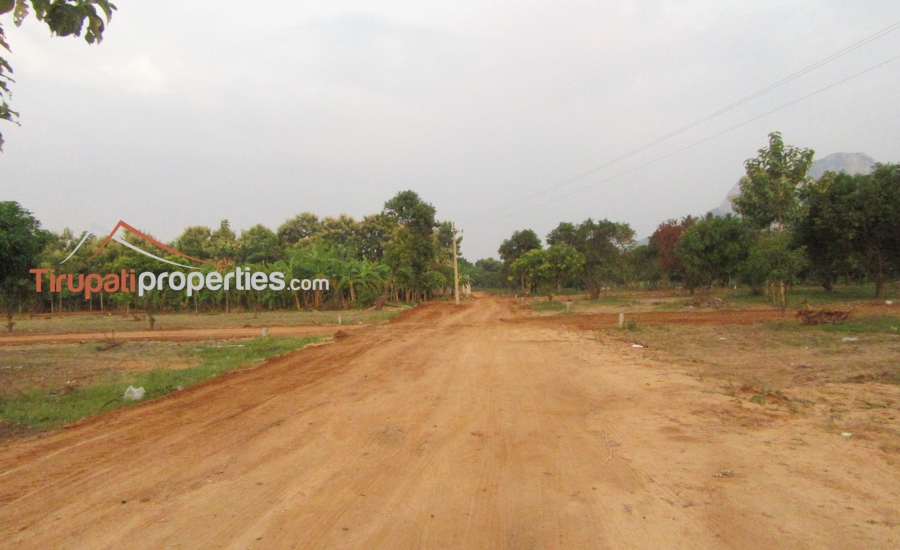 Low Budget Plots and Below 45 Lacs Houses for Sale Near Chandragiri Fort Junction